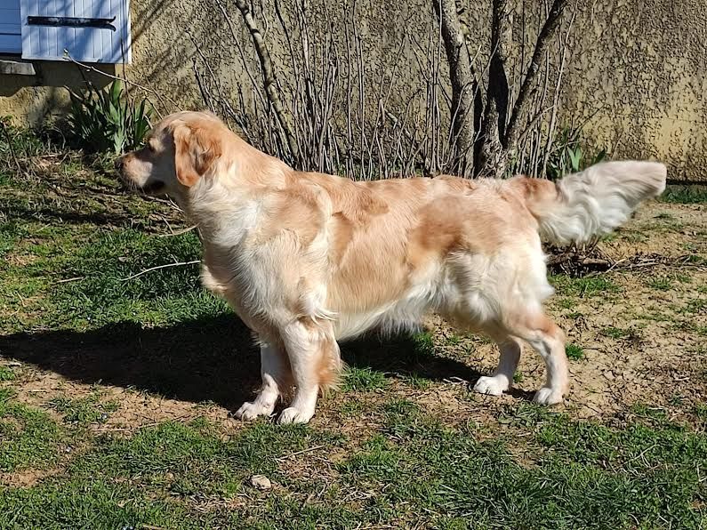 Rebel for life de la Forêt de Sivens