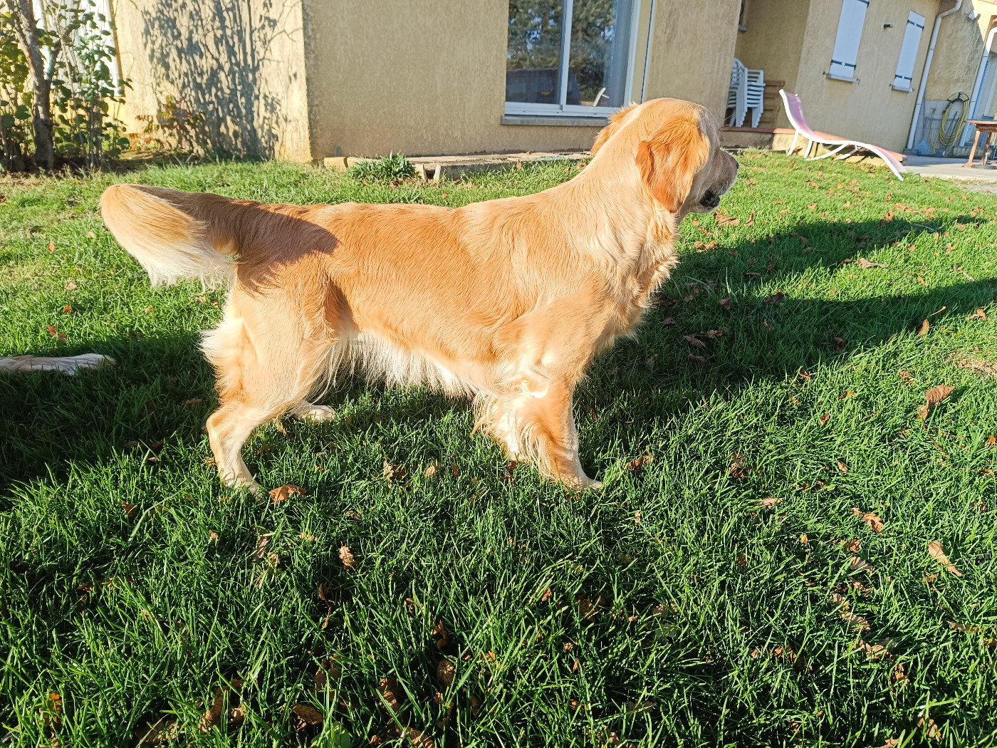 Unchained Melody de la Forêt de Sivens