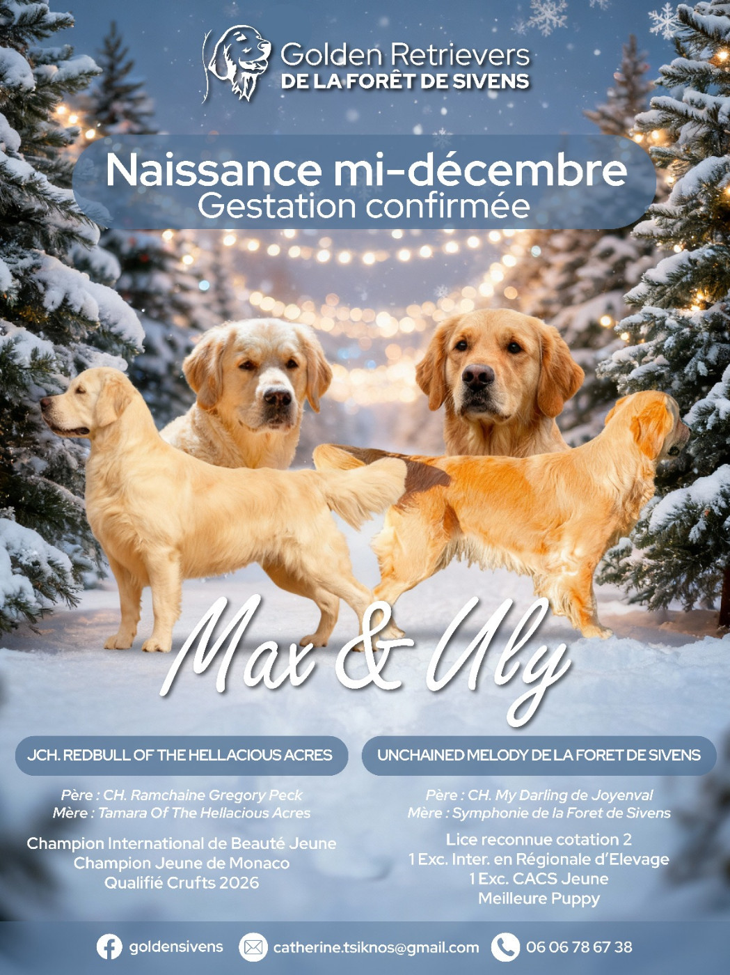 Portée à naitre mi-décembre 2025